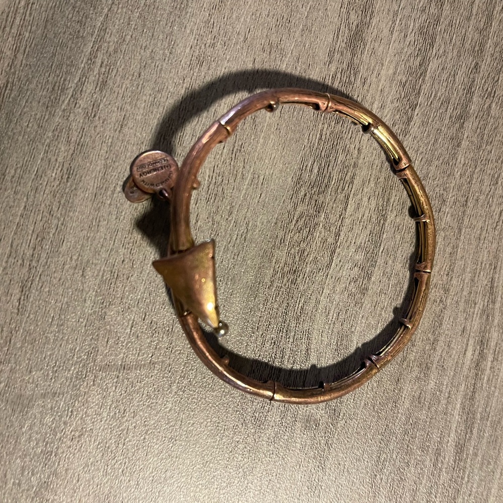 Alex and Ani Lovestruck Arrow Wrap Bangle Bracelet